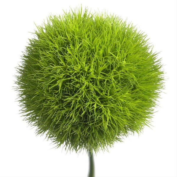 DIANTHUS GREEN BALL