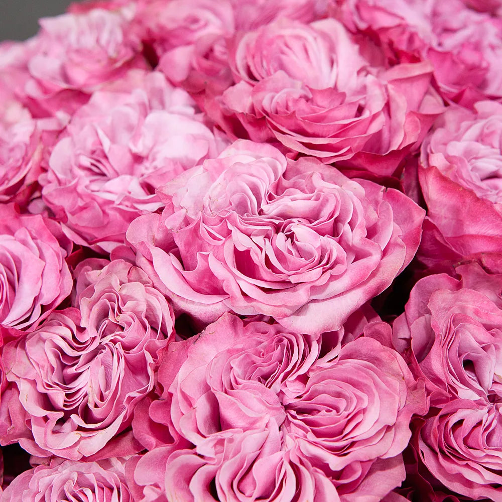 COUNTRY BLUES– A Bold Twist on Classic Elegance