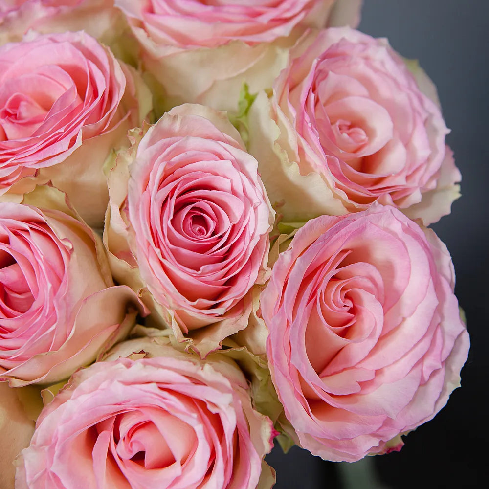 ESPERANCE – Timeless Beauty in Every Bloom