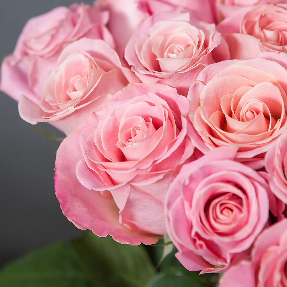 HERMOSA – Soft Beauty with a Timeless Charm