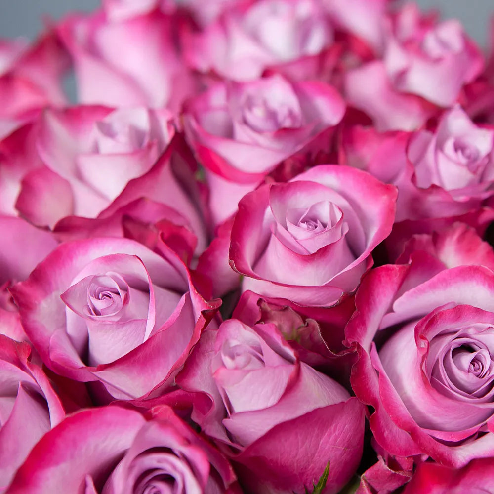 DEEP PURPLE- Bold Statement of Elegance