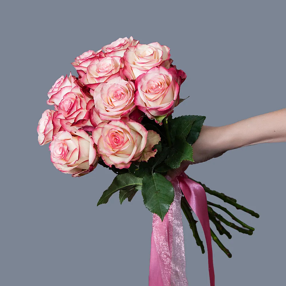 PALOMA– Whisper of Elegance in Every Bloom