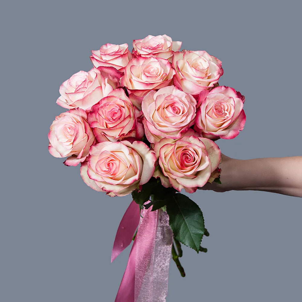 PALOMA– Whisper of Elegance in Every Bloom
