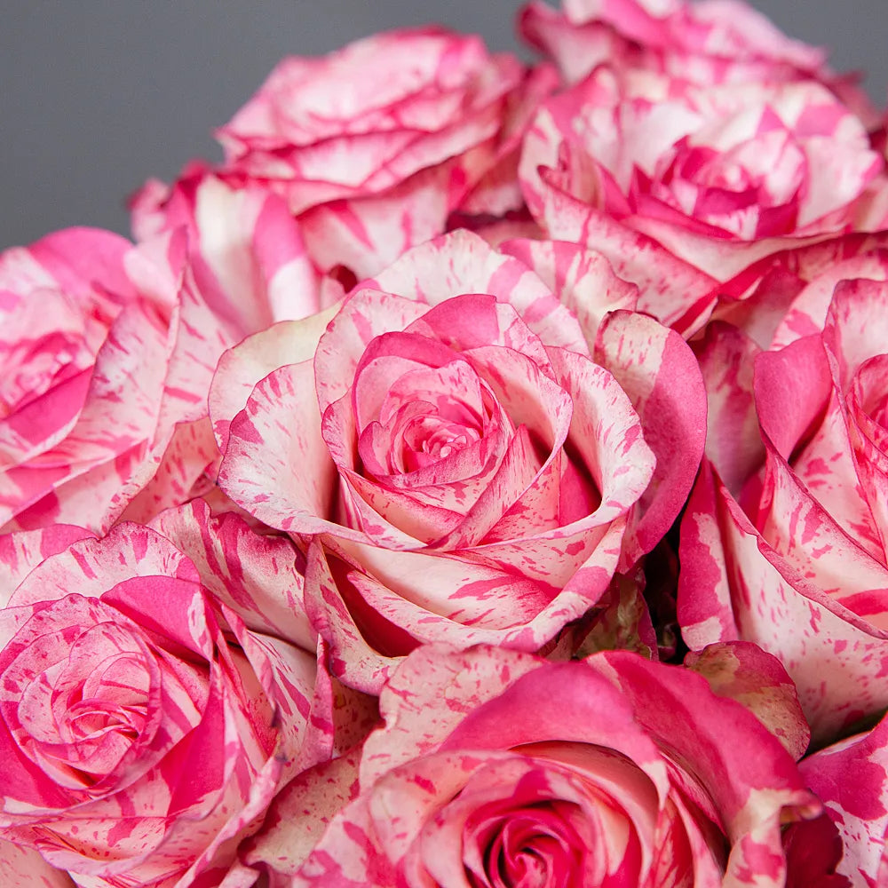 MAGIC TIMES– Whispers of Enchantment in Every Bloom