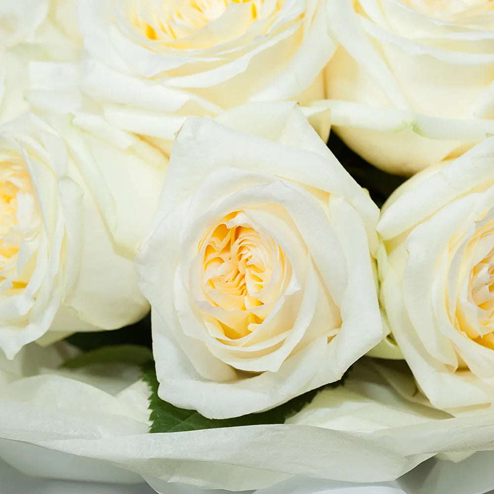 CANDLELIGHT A Glow of Elegance in Every Bloom