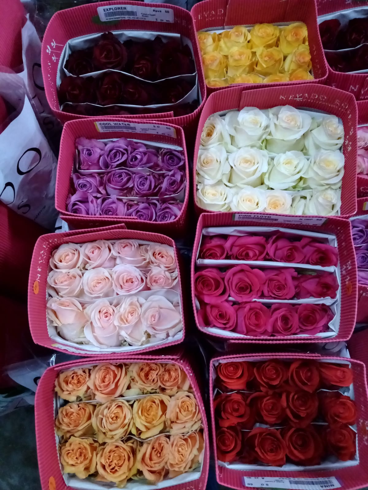 WHOLESALE MIXED COLOR BOXES FOR VALENTINES DAY
