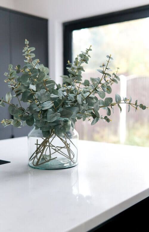 EUCALYPTUS BABY BLUE