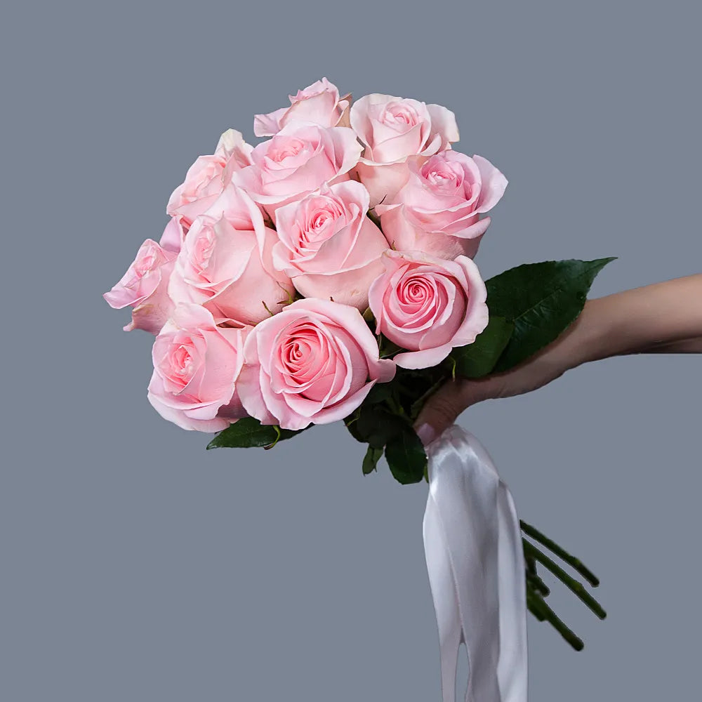 TITANIC – Majestic Elegance in Every Bloom