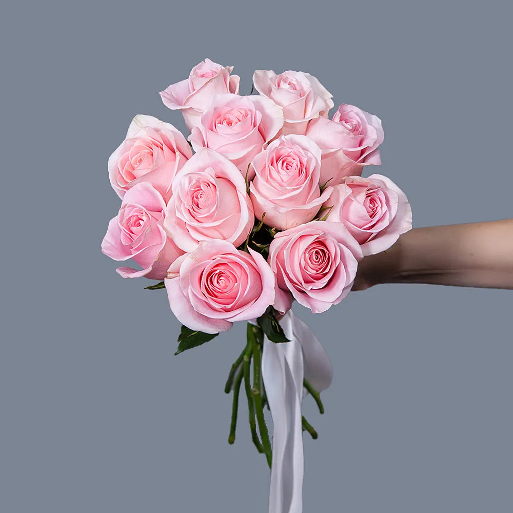 TITANIC – Majestic Elegance in Every Bloom