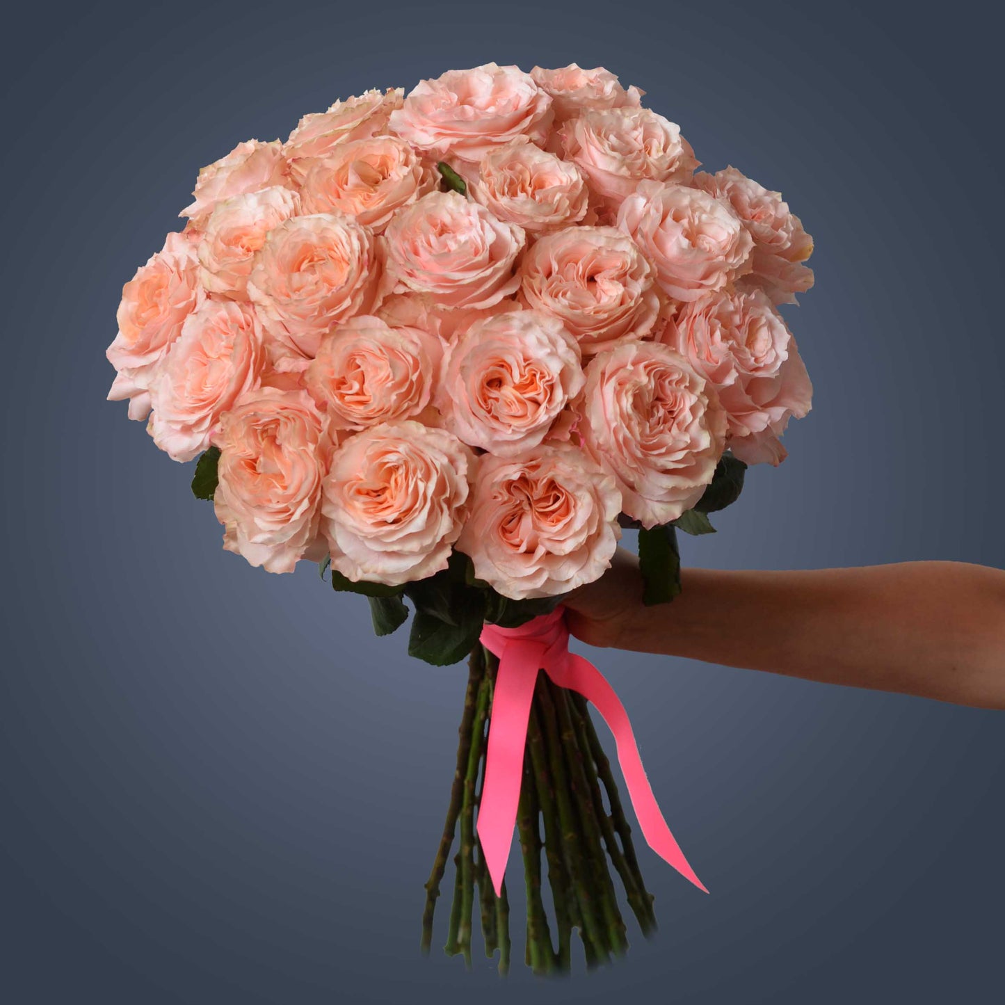 PRINCESS CROWN-Regal Radiance in Every Bloom