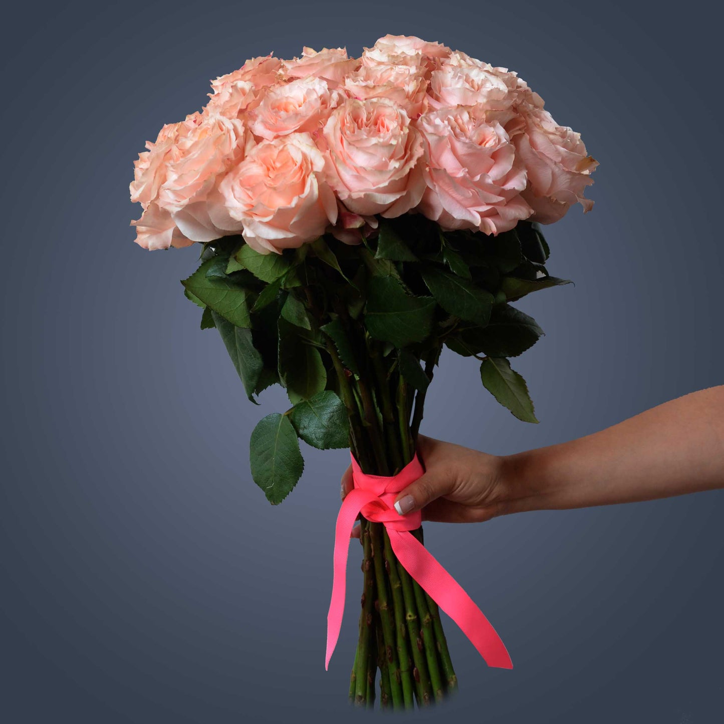 PRINCESS CROWN-Regal Radiance in Every Bloom