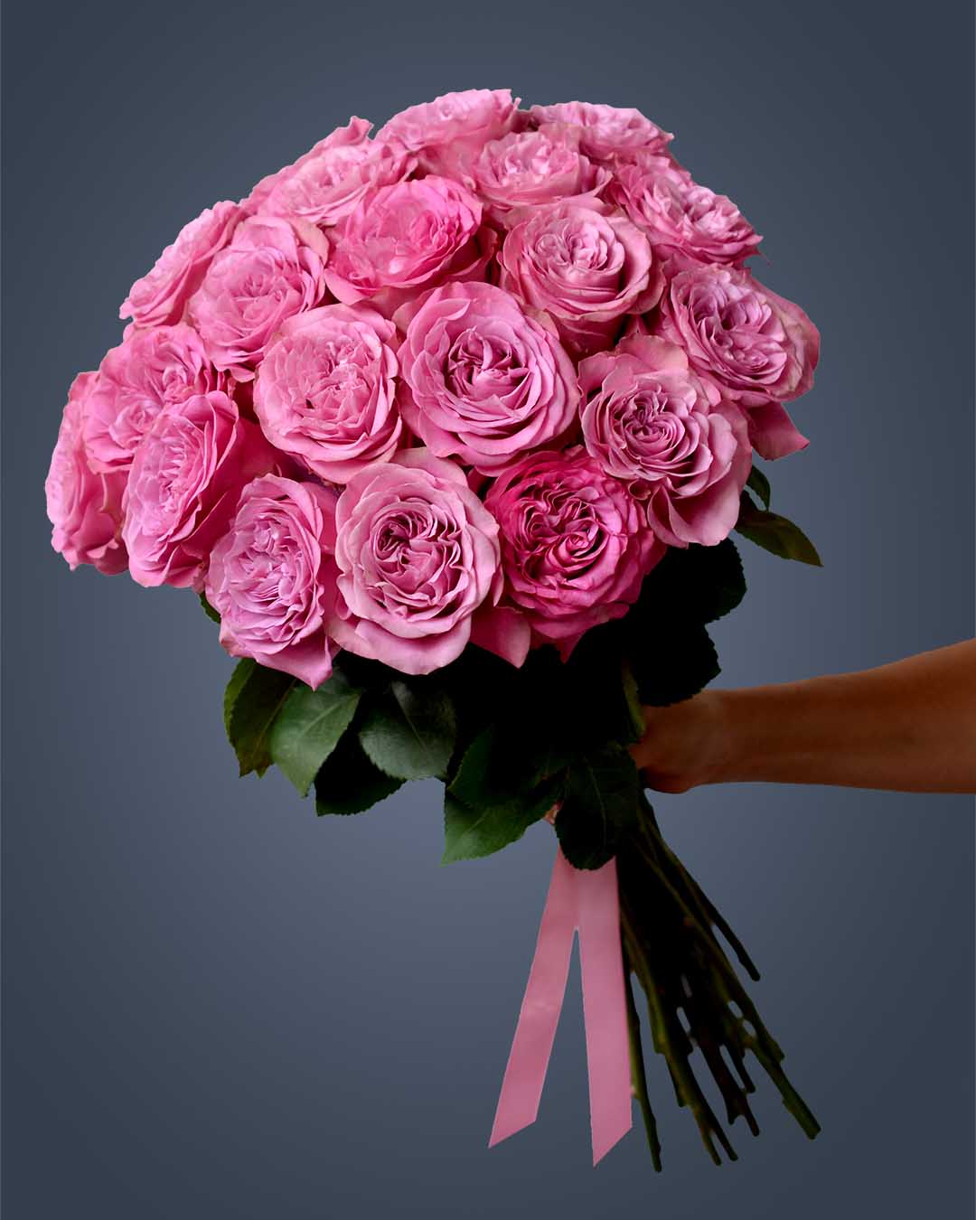 QUEEN´S CROWN– Majestic Beauty in Every Bloom