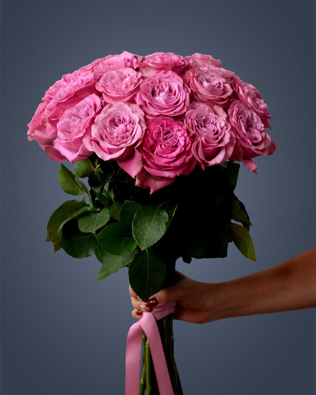 QUEEN´S CROWN– Majestic Beauty in Every Bloom